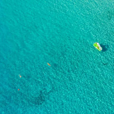 Zenon * Πέγεια